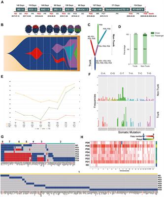 Single-Cell Transcriptomes Combining with Consecutive Genomics Reveal Clonal Evolution and Gene Regulatory Networks in Relapsed and Refractory Multiple Myeloma